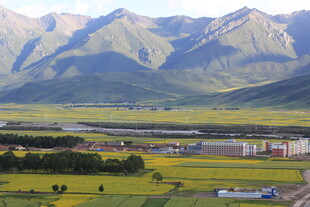 山间田园风光美景