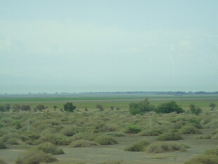 广袤荒凉的野外景观