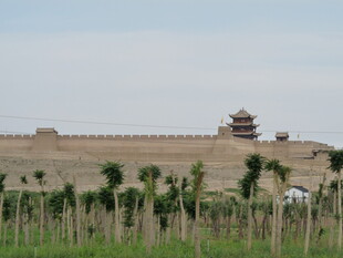 嘉峪关前翠绿农田景观