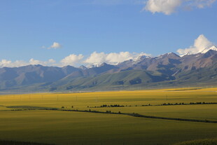草原与远山的壮美风光