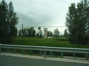 公路旁绿意盎然的田园风光