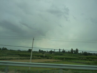 公路边的阴沉天空与植被