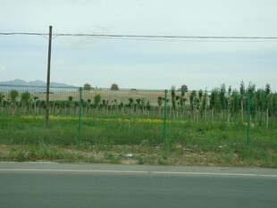 公路旁的田野与远处建筑