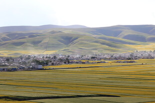 广袤田野与远山风景