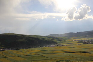 草原田野间的壮丽光影