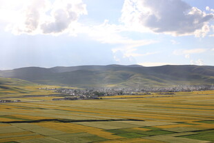 金黄田野与远山的美丽景致