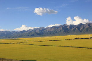 草原与远山的壮美风光