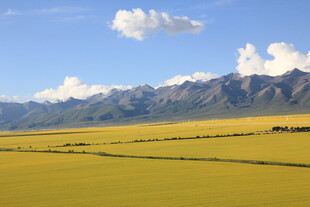 广袤草原与远处山峦美景