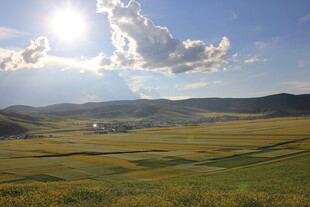 草原风光 阳光洒落天地间