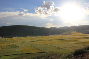 田园风光 阳光照耀的田野