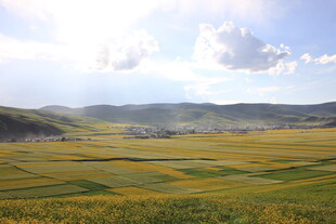 广袤田野与远山蓝天白云
