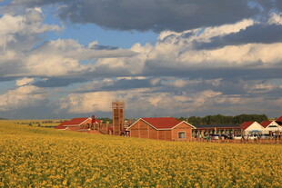 田园风光中的红顶农舍