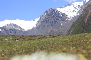 雪山下的翠绿草地景观