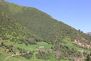 青山绿野间的宁静景致