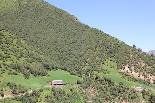 山间绿野中的静谧小屋