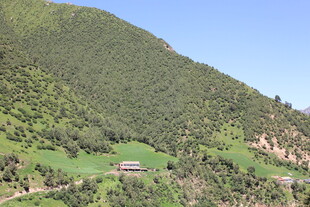 山间绿野中的静谧小屋