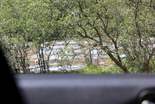 车窗外的绿意与建筑景观