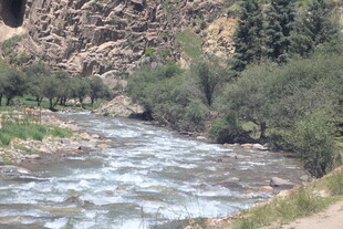 山间湍急溪流与葱郁植被