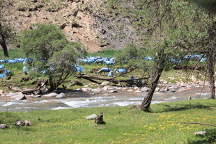 山间溪流旁的自然景致