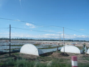 户外农业设施场景