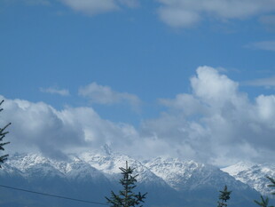 蓝天白云下的雪山与树木