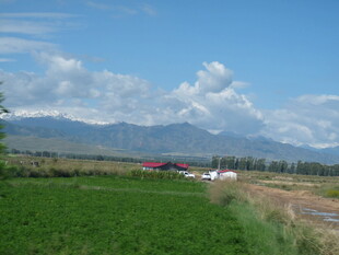 田园风光中的远山与草地