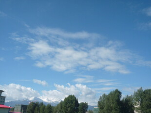 蓝天白云下的城市风景