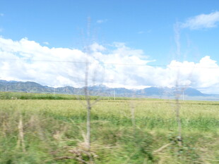 田野风光 蓝天白云草地