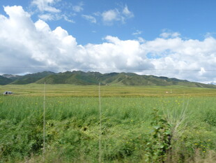 草原风光 蓝天白云青山