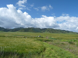 草原风光 蓝天白云青山