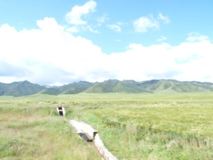 草原小径上的徒步之旅