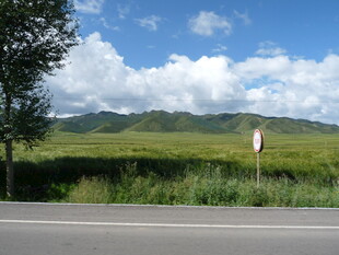 公路边的绿野与蓝天白云