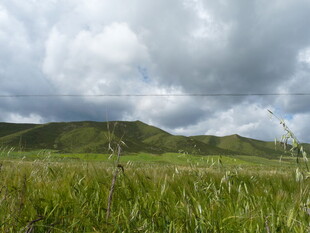 草原风光 云下绿野