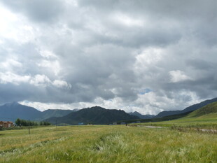 草原上的多云天空景色