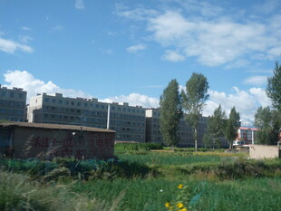 乡村田野旁的楼房景观