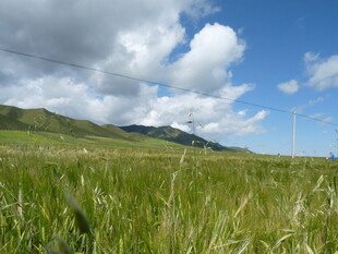 草原风光 蓝天白云绿草