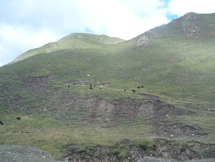 青山绿野间的自然景致