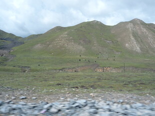 山间草地与碎石景观