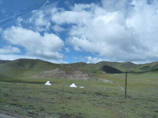 草原风光与白色帐篷