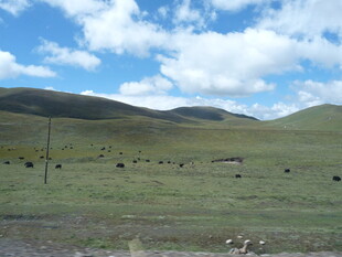 草原风光 广阔天地