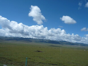 草原蓝天与白云美景