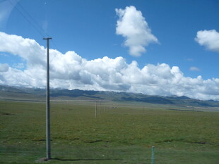 草原蓝天与电线杆景观