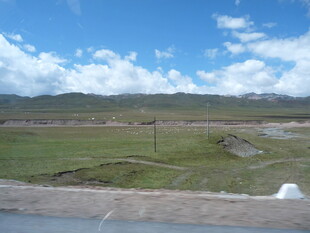 公路边的开阔草原风景