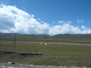 草原风光 蓝天白云下的牧场