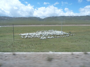 草原上的白色石堆景观