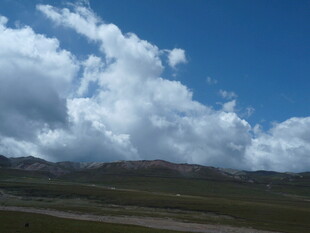 蓝天白云下的广袤原野