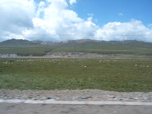 草原风光 蓝天白云下的旷野