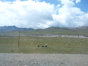 草原旷野中的远景风光