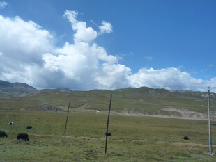 草原风光 蓝天白云下的牧场