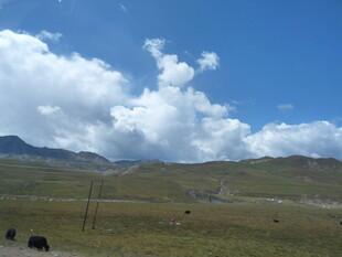 草原蓝天与白云下的风光